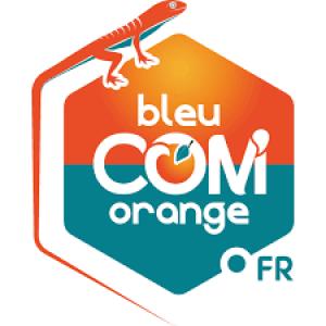 Logo Bleu Com Orange
