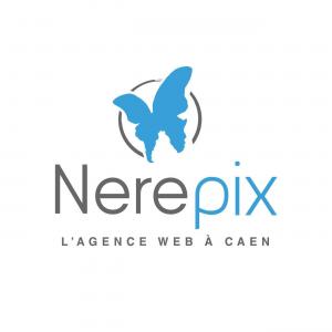 Logo Agence web Nerepix